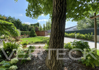 Un vecchio giardino riportato a splendore